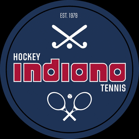 thcindiana indiana thc indiana hockey indiana indiana hockey GIF