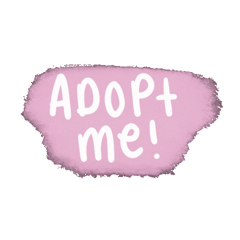 Adopt Animal Rescue Sticker