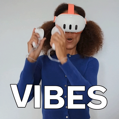 Vibes Gamer GIF by MetaQuest