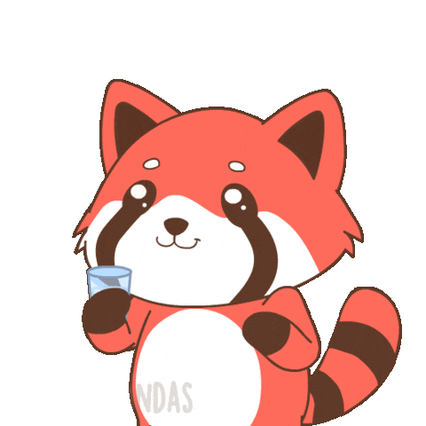 Drink More Red Panda Sticker