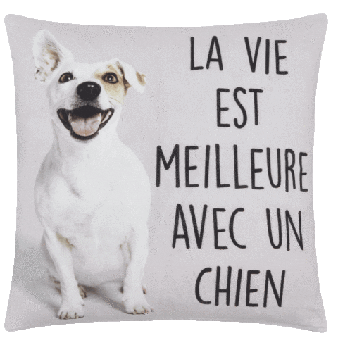 Home Dogs GIF by Bouclair