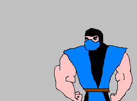 challenge of the ninja