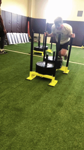 Lifting Weight Training GIF by Brown University Wrestling