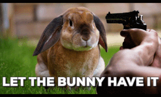 bunny GIF by Stoneham Press
