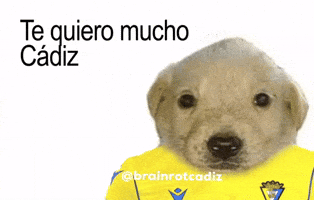 Brainrotcadiz GIF