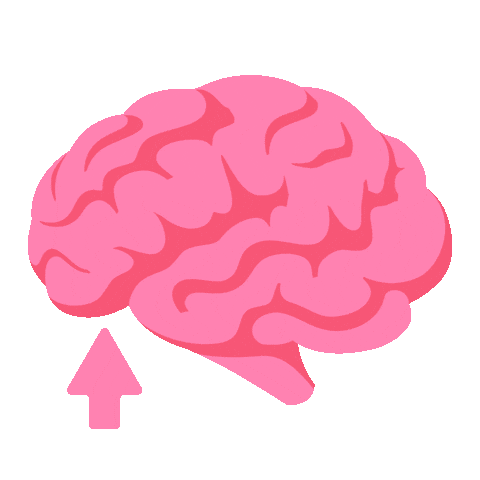 Pc24-Brain-Gut Sticker by Physicians Choice