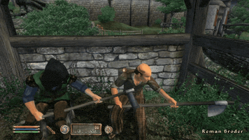 Working Elder Scrolls GIF