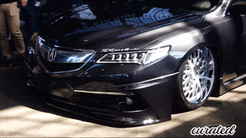 Acura Camber GIF by Curated Stance Club!