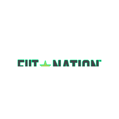 FIIT Nation Sticker
