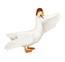 Dance Football Sticker by Aflac Duck