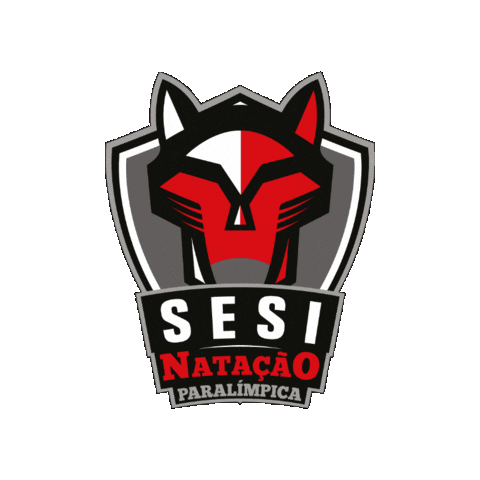 Paralímpico Sticker by Sesi São Paulo