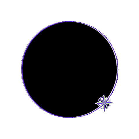 Insecte Boussole Sticker by Dusaurin