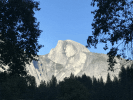 Toby Wagstaff GIF