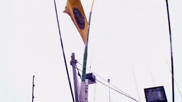 wicked tuna pinwheel GIF by National Geographic Channel