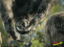 Dance Sloth GIF by Cheetos