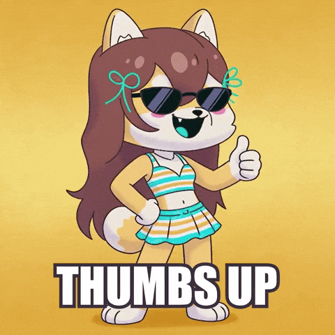 Well Done Thumbs Up GIF by WUFFI