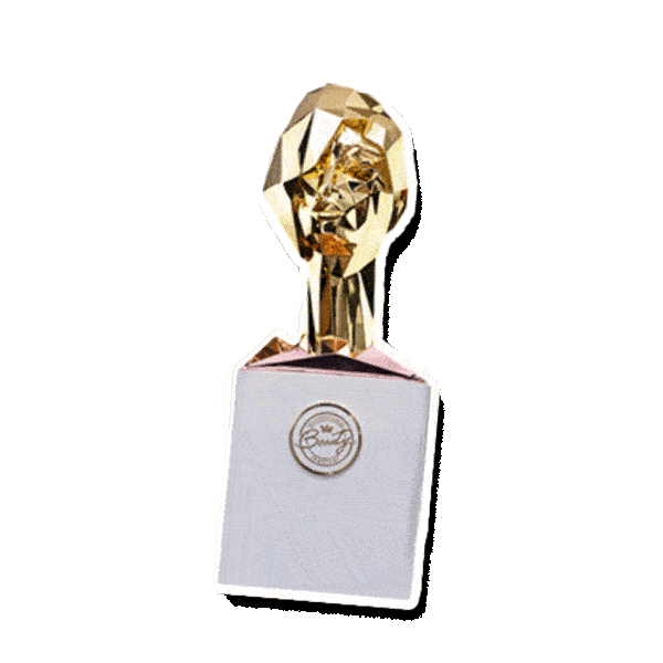 Trophy Ibi Sticker by The International Beauty Industry Awards
