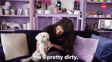 Dog Grooming GIF by BuzzFeed