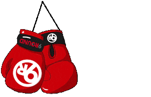 9 ROUND ORLEANS Sticker