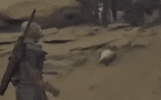 Meme GIF