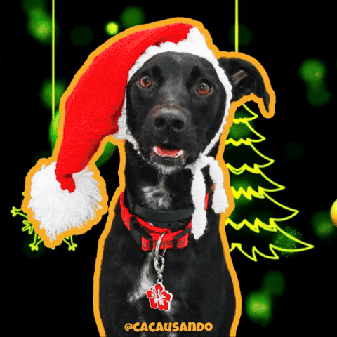 Dog Christmas GIF