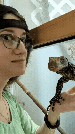 Spider The Lizard GIF
