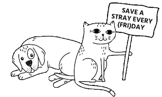 Black Friday Cats Sticker by STRAYZ