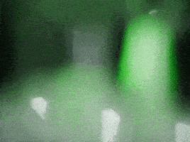 GIF by Tanzhaus West