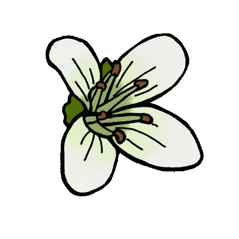 mico Sticker