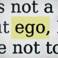Ego Deal With It GIF