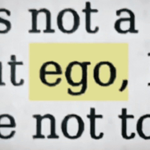 Ego Deal With It GIF