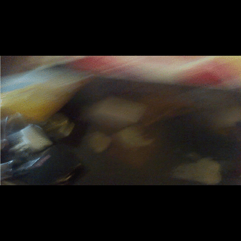 stephs flipme GIF