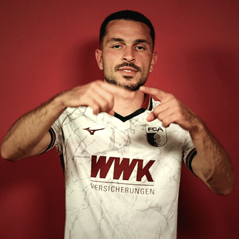Bundesliga Ibrahimovic GIF by FC Augsburg 1907