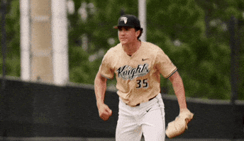 Celebration Baseball GIF by UCF Knights