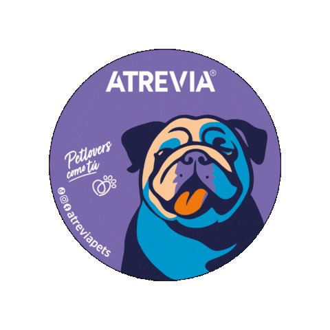 Cat Dogs Sticker by Pet Nutri