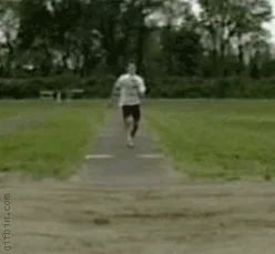 [Image: giphy.webp?cid=ecf05e472b489c7afe4b7358e...giphy.webp]