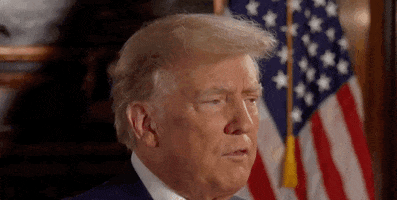 Donald Trump Gop GIF by GIPHY News