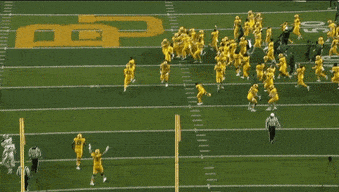 Giphy - Baylor University Hype GIF by Baylor Athletics