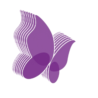 Fundación Síndrome de Dravet Sticker