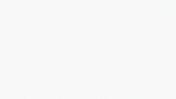 Fsc GIF