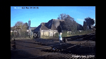 Railway GIF