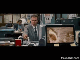the other guys GIF