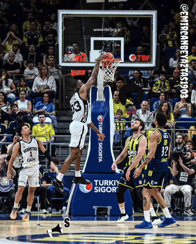 Beşiktaş Basketbol GIF