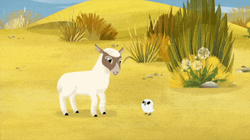 #puffin #rock #puffinrock #baba #lambie #jump #lamb #puffin GIF by Puffin Rock