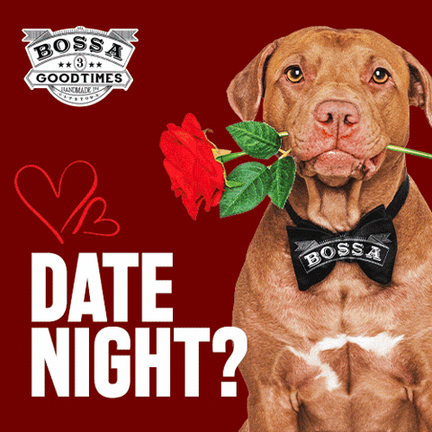 Bossa Restaurant & Bar GIF