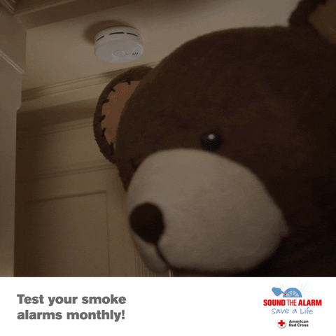 Red Cross Test GIF by American Red Cross