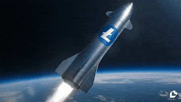 To The Moon Wow GIF by LitVM