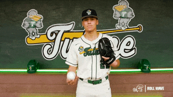 College Baseball Sanchez GIF by GreenWave