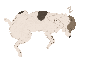 Animated Sticker