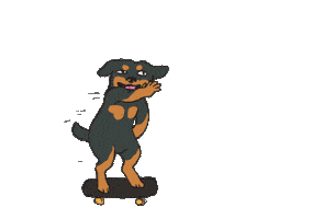 Skateboard Rollbrettrottweil Sticker by Lifeboy Skateshop Rottweil